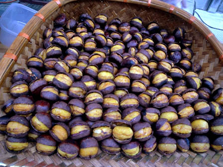 002xx のコピー.jpg