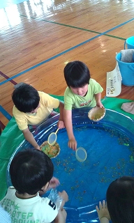 s-0617金魚すくい.jpg