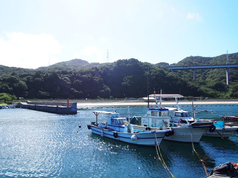 伊毘漁港2