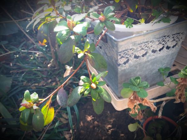rblog-20160225160856-00.jpg