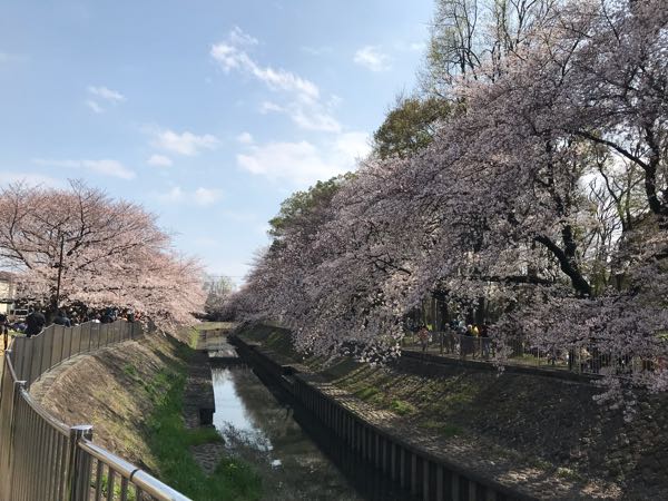 rblog-20190331200607-02.jpg