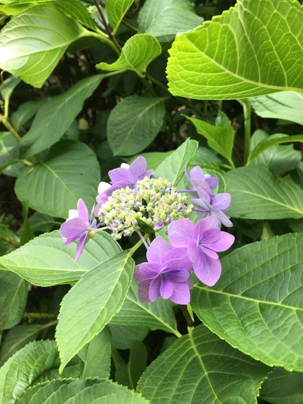 rblog-20180605130157-07.jpg