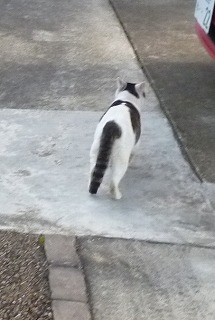 P1290834-ass.jpg
