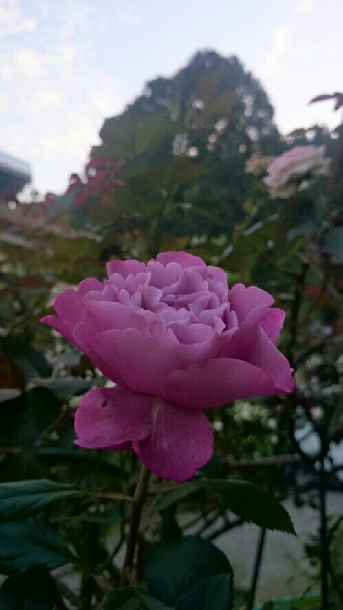 rblog-20160602092302-02.jpg