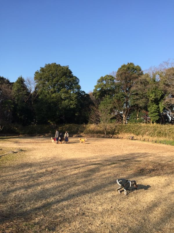 rblog-20160109022706-01.jpg