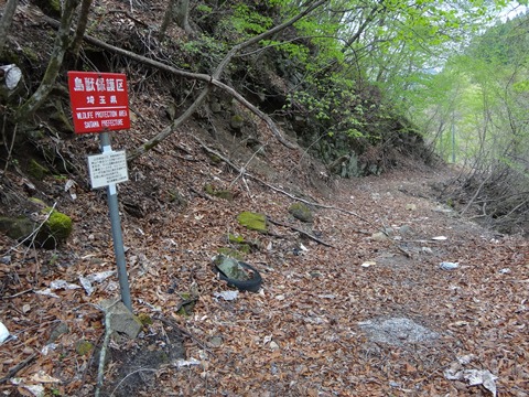 DSC00702.JPG