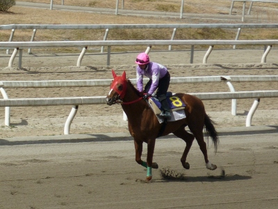 P1040419 (400x300).jpg