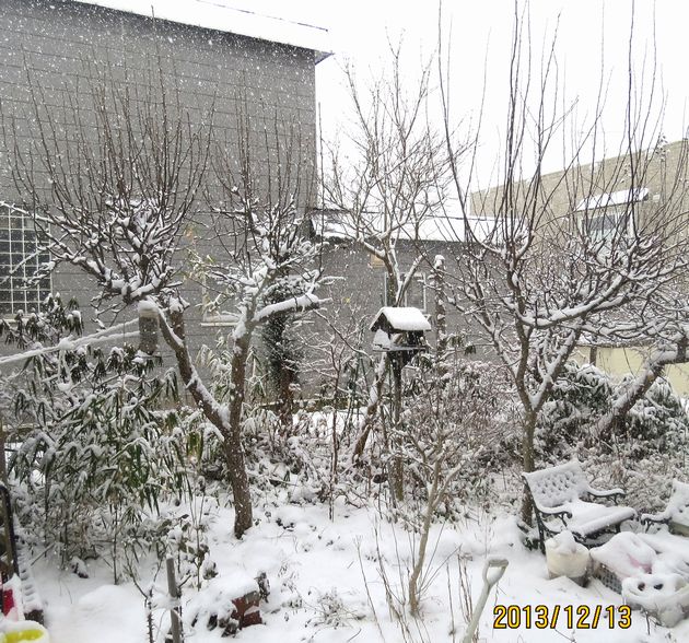 １２／１３降りしきる雪.jpg