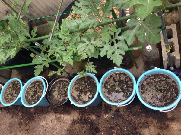 rblog-20160604221621-03.jpg