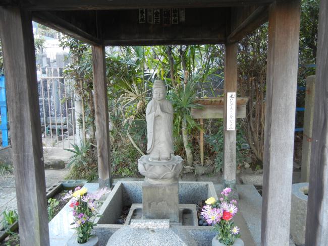 DSCN6838.JPG