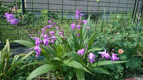 rblog-20170521200608-02.jpg