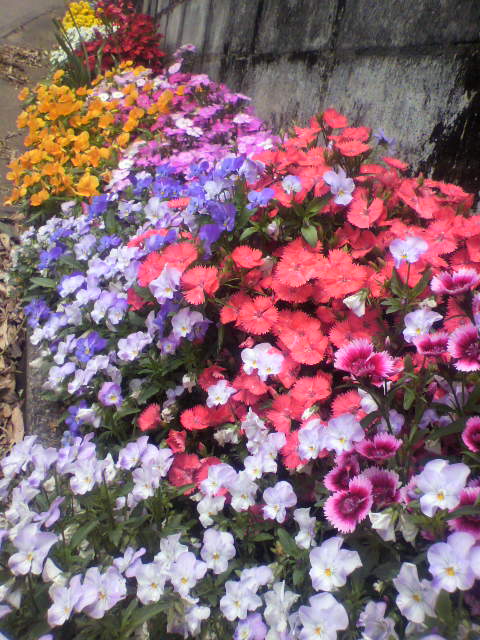 2011050711530001.jpg