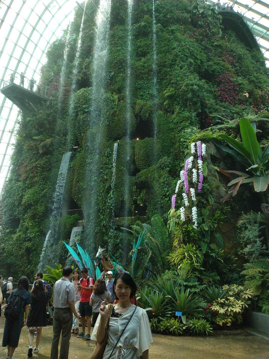 50代シングルのシンプルライフ