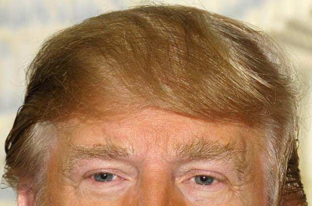 トランプ大統領の髪型ってやっぱヘンやろ サトちゃんのいる風景 楽天ブログ