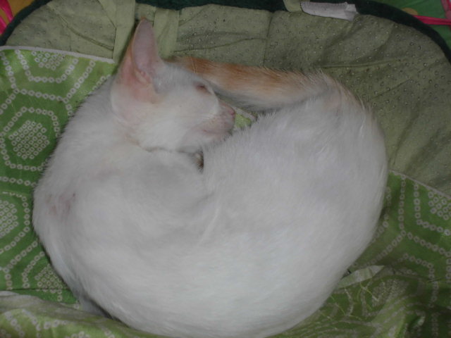 CIMG0414.JPG