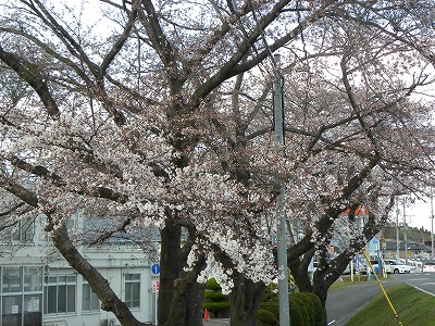 DSCN8244.jpg