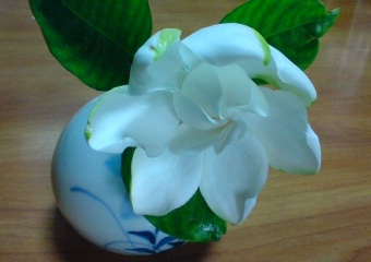 20120624162100.jpg