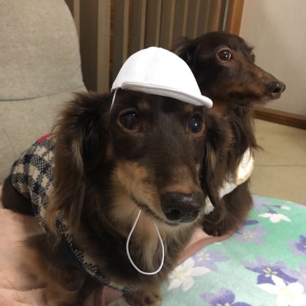 rblog-20180506144040-02.jpg