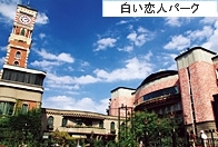 aa