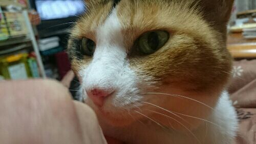 rblog-20170116213729-05.jpg