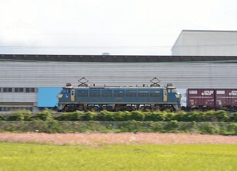 EF66-52 2013.11.13　5074レ　1.jpg