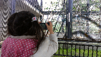 rblog-20130413115642-00.png