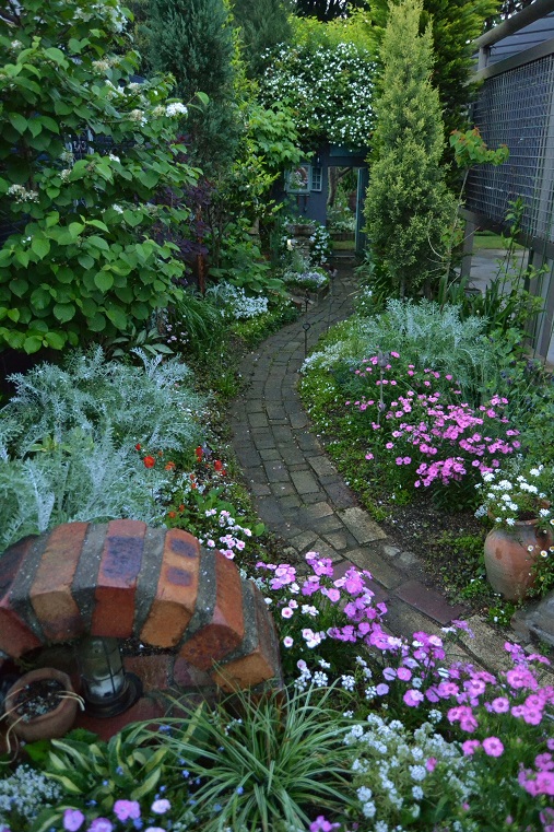 DSC_0344.JPG