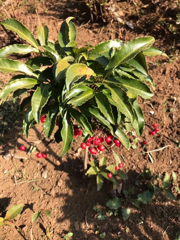 rblog-20190320171306-02.jpg