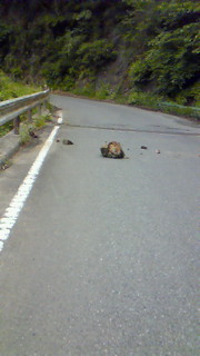 201206101543000.jpg