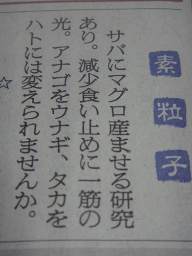 DSC04312_R.JPG
