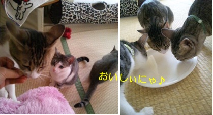20120705_4.jpg