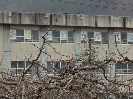 DSC00422.jpg