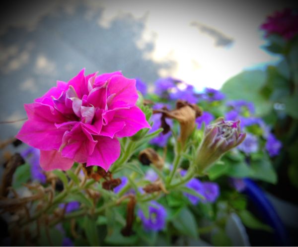 rblog-20140730130342-02.jpg