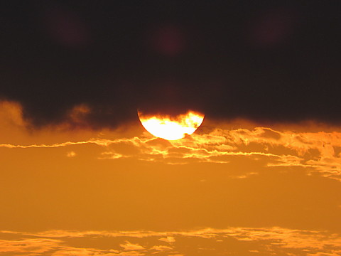 IMG_6616.jpg