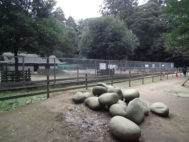 DSCF2173.JPG