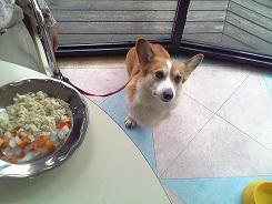 Image122.jpg