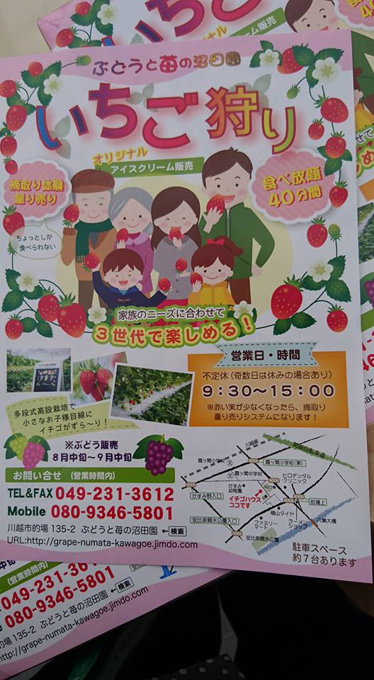 川越市的場の沼田農園が苺狩りを始めました 福ちゃん通信 楽天ブログ