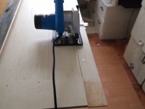 P1072985 (300x225).jpg