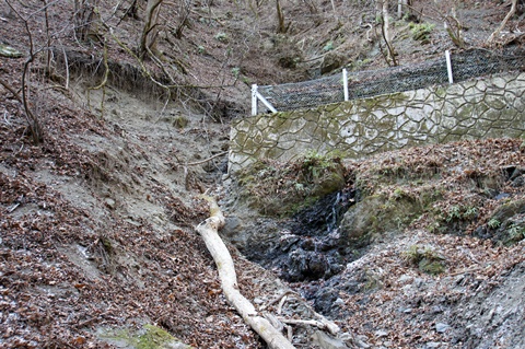 _DSC2006.JPG