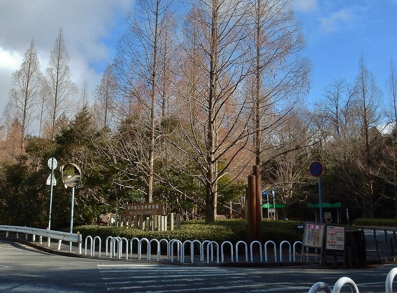 植物園への道 8.JPG