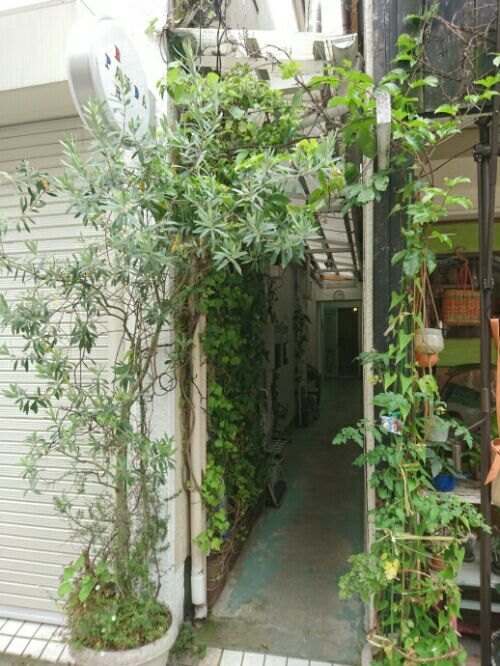rblog-20180622235845-01.jpg