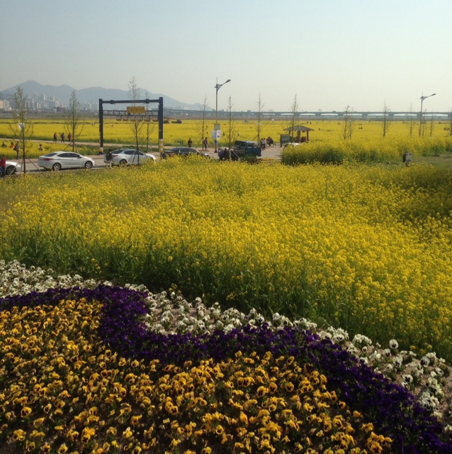 rblog-20140408185329-01.jpg