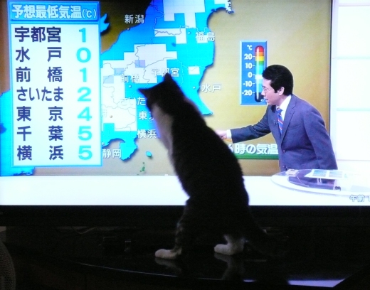 20160123ｷｵ02.jpg