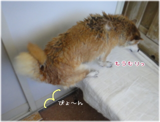 1021ゆらら3.jpg