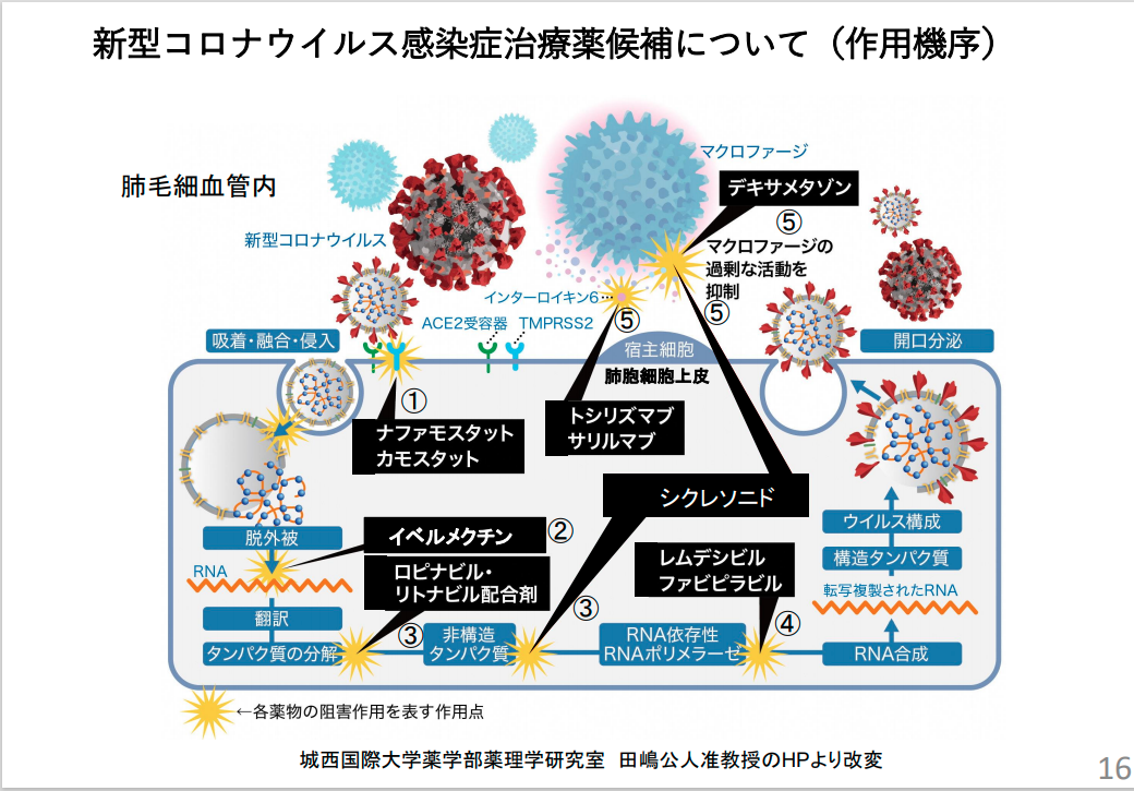 新型コロナ治療のためのイベルメクチンは保険が効く | タムーのブログ - 楽天ブログ