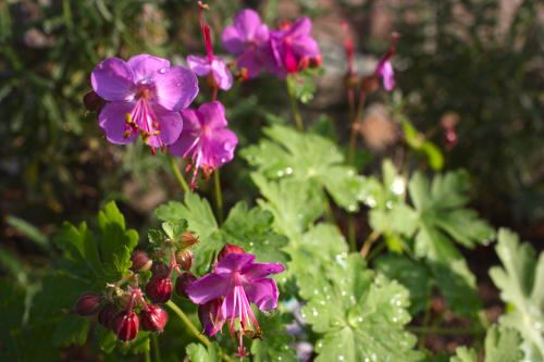 2015051902.jpg
