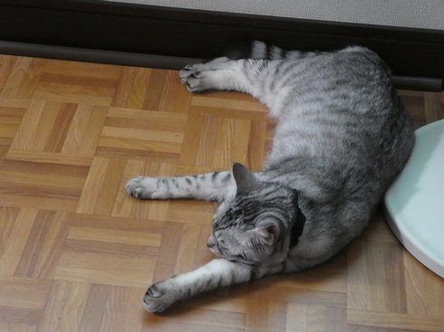 P1010232.JPG