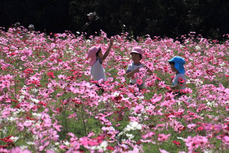 万博記念公園_005.jpg