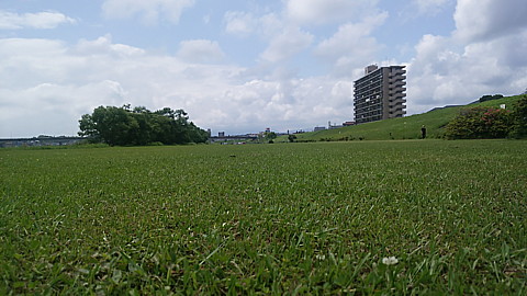 IMG_20150502_104643.jpg