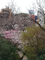 rblog-20130320183554-02.png